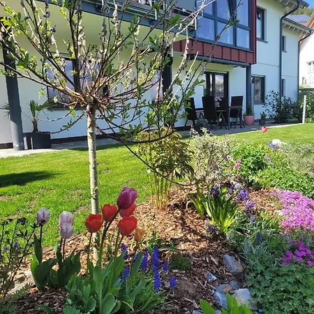 Apartment Am Oberen Buehl