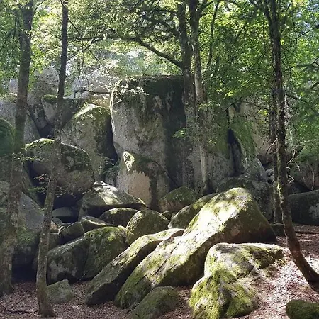 Apartment Am Oberen Buehl Furtwangen