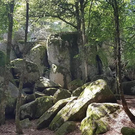 Appartement Am Oberen Buehl Furtwangen im Schwarzwald